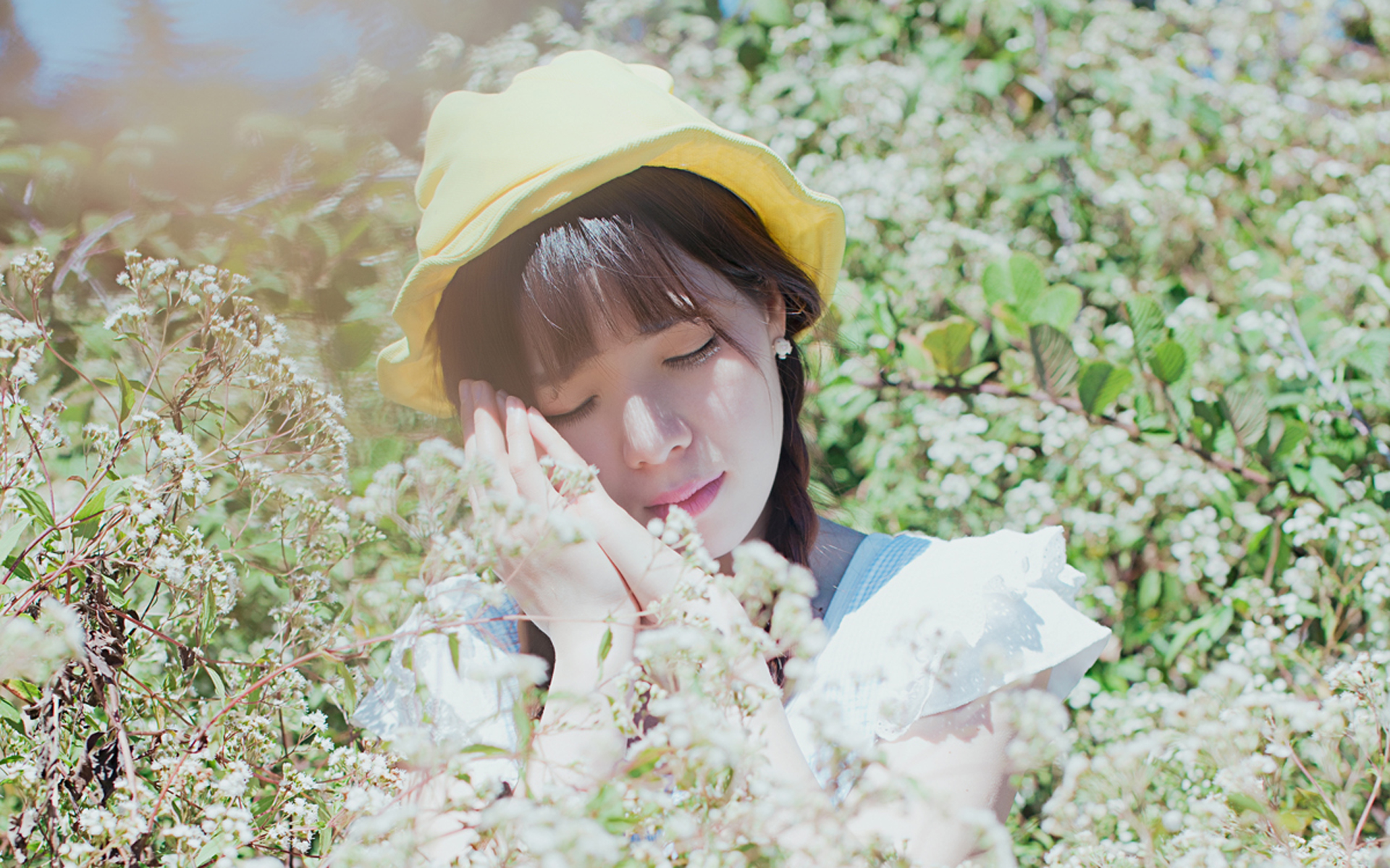 DreamsofSilkatMidnight未删减资源